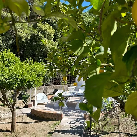 Villa Carruba-3